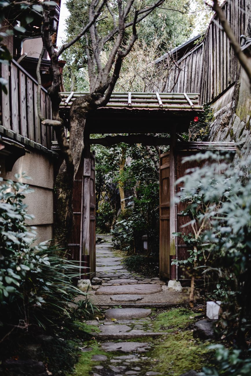Zen courtyard and Japanese maple