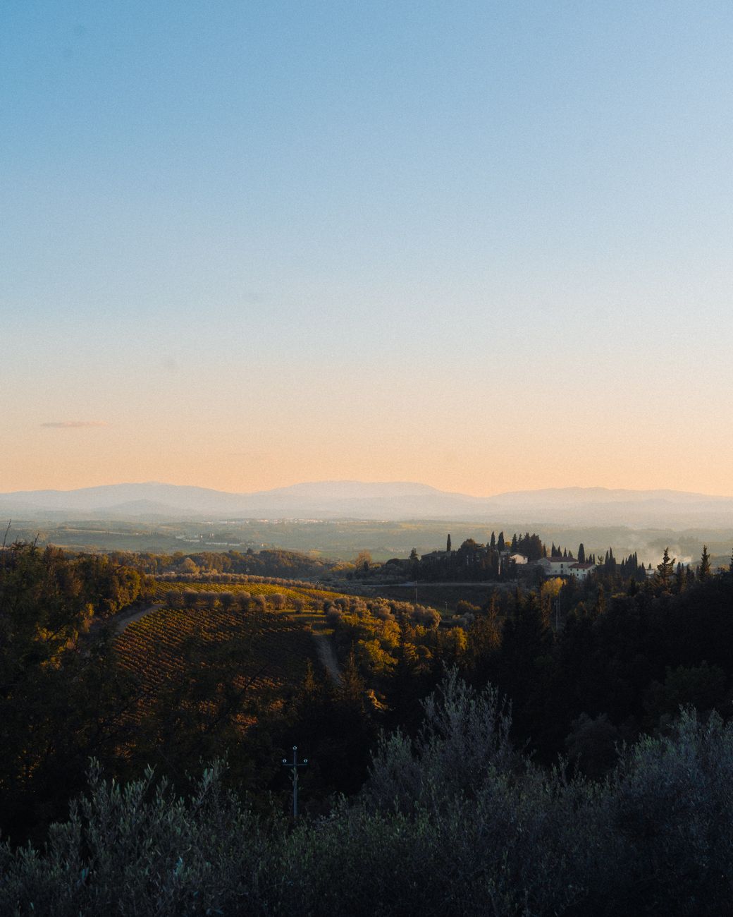 Vineyard hills at golden hour